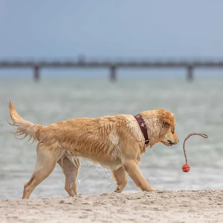 Ankerplatz - 5 Sterne Mit Blick Auf Ostsee Lägenhet